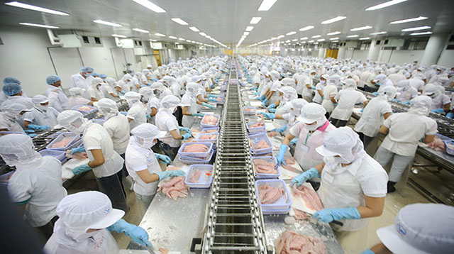 Công ty Xuất khẩu Lao động uy tín IVY HR đang tuyển 3 nữ chế biến thủy sản đi Nhật