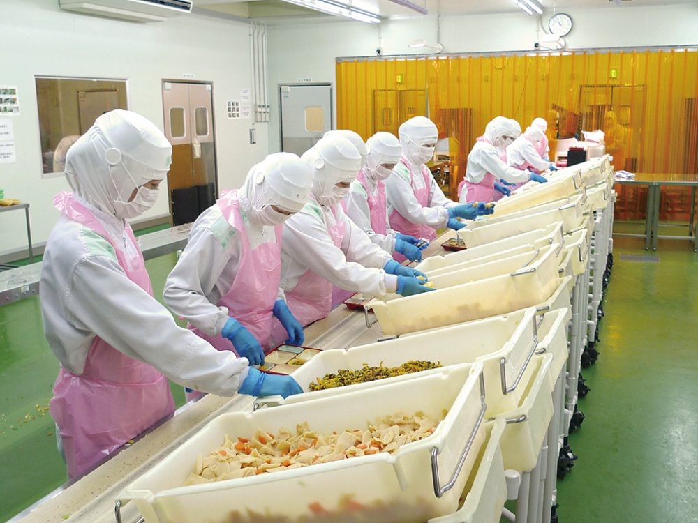 Công ty Xuất khẩu Lao động uy tín IVY HR đang tuyển 10 nữ chế biến thực phẩm đi Nhật