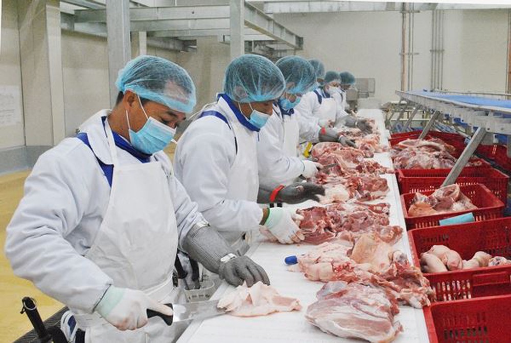 Công ty Xuất khẩu Lao động uy tín IVY HR đang tuyển 3 nam chế biến thịt đi Nhật