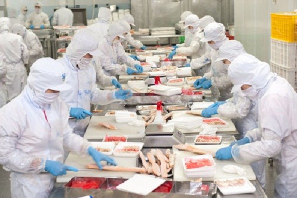 Công ty Xuất khẩu Lao động uy tín IVY HR đang tuyển 9 nam 9 nữ chế biến thực phẩm đi Nhật