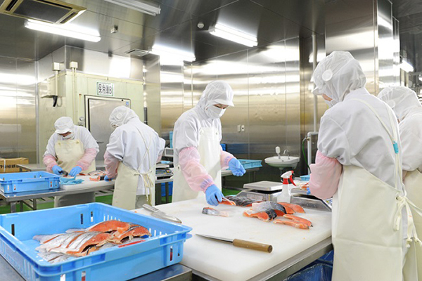 Công ty Xuất khẩu Lao động uy tín IVY HR đang tuyển 6 nam,6 nữ chế biến thực phẩm đi Nhật